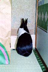 ˲2