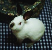 ˂
